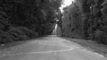 Immagine di uno scatto fotografico di Carrie Mae Weems