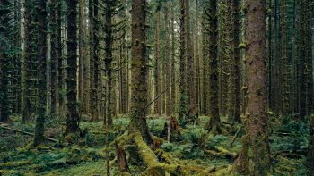 La fotografia di Antonio Biasiucci alle Gallerie d'Italia Torino ...