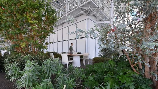 Image of the greenhouse located in the Intesa Sanpaolo skyscraper in Turin.