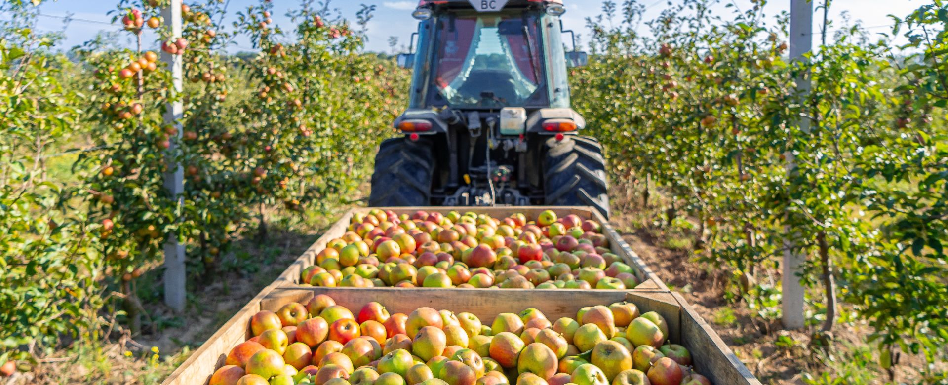 Agri Food Supply Chain Resiliency Analysis Stream