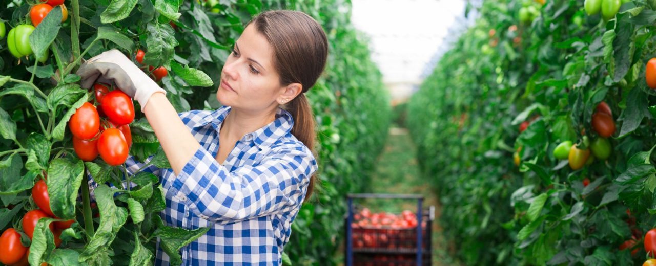 Reports and analysis