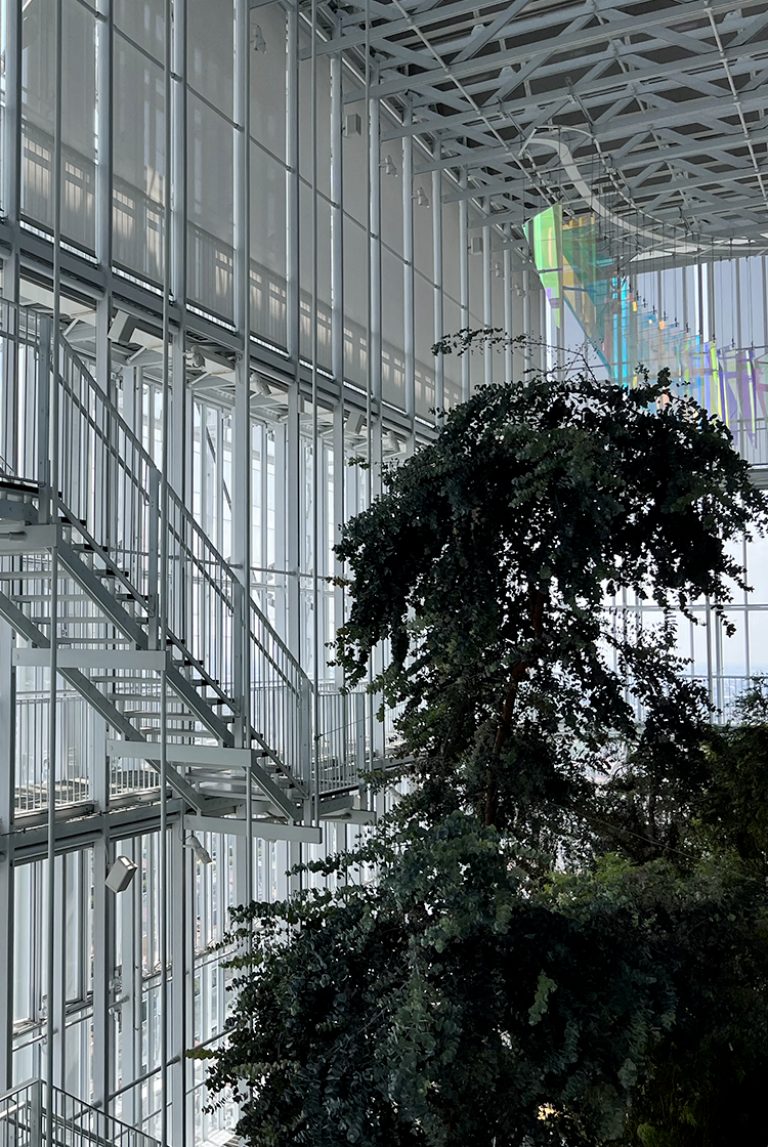 L’immagine che accompagna la News su Intesa Sanpaolo e Messina sempre al top in Europa per IR e ESG, secondo Extel, ritrae la serra bioclimatica del grattacielo di Intesa Sanpaolo a Torino